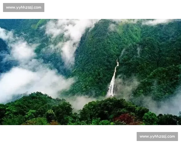 哀牢山：探寻这片神秘山脉的自然奇观与文化传承之旅
