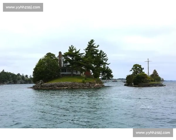 电竞寒冬中的一抹亮色！加拿大代表队用实力说话，点燃无限希望！