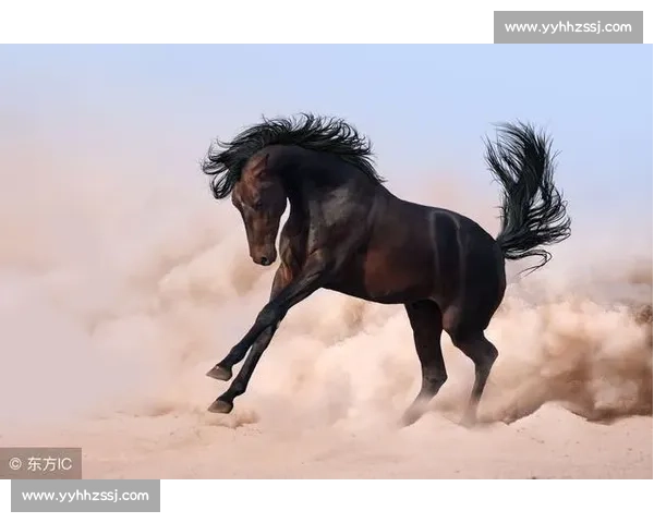 又是一年苏超季，谁将成为黑马惊艳全场